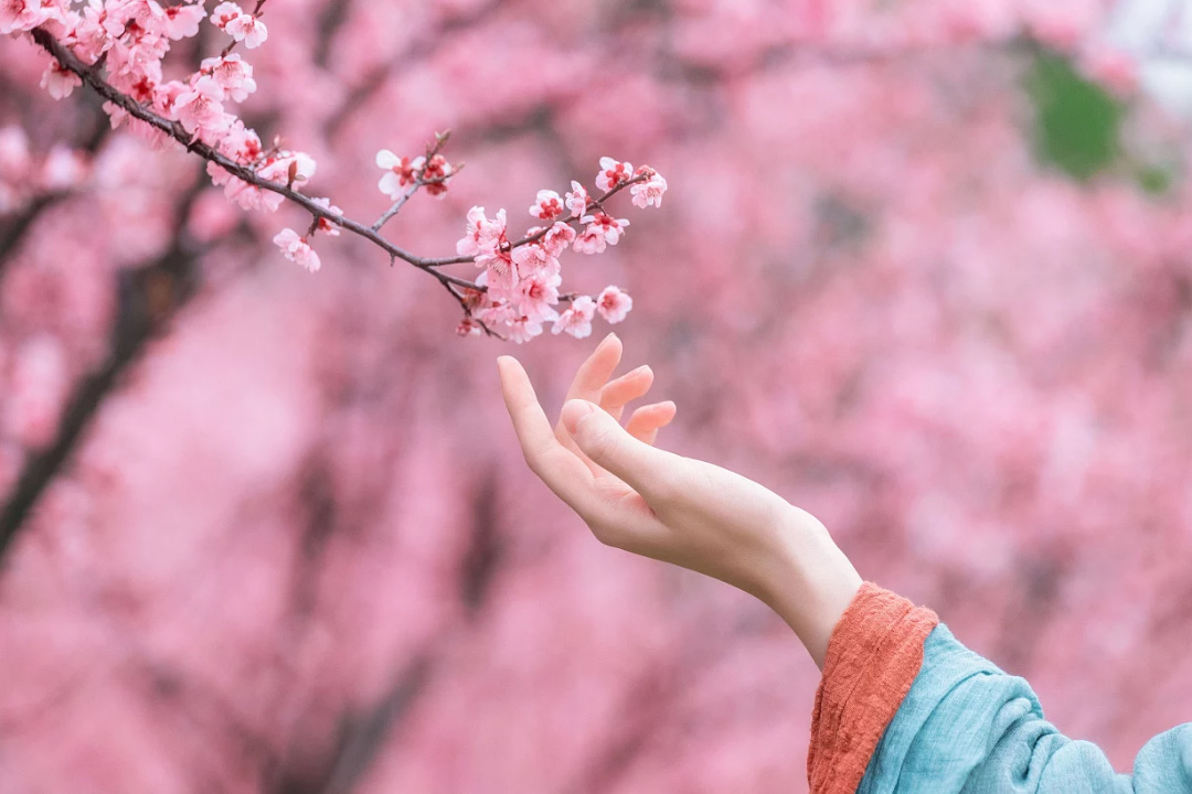 原创不知名作品,不知名诗人传世名句大全及解释