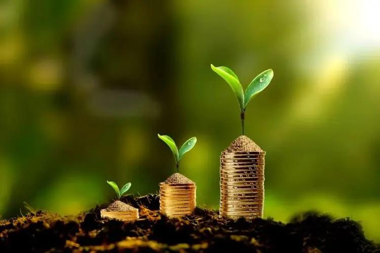 绌风殑鐪熺浉,绌风殑鏈川瑙嗛