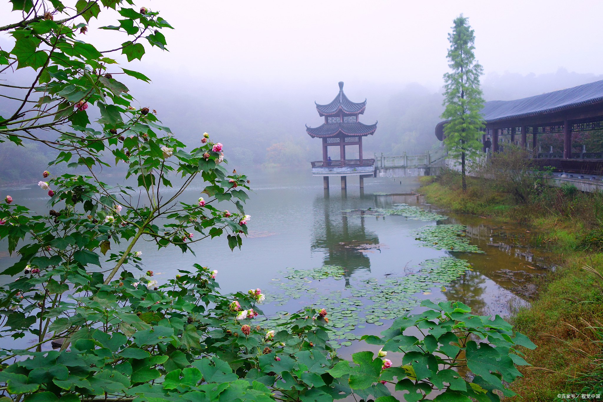 长沙适合夏天避暑打卡的地方,长沙周边旅游避暑推荐
