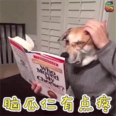 怎么查询自己的学历真假,如何查询学历真实有效