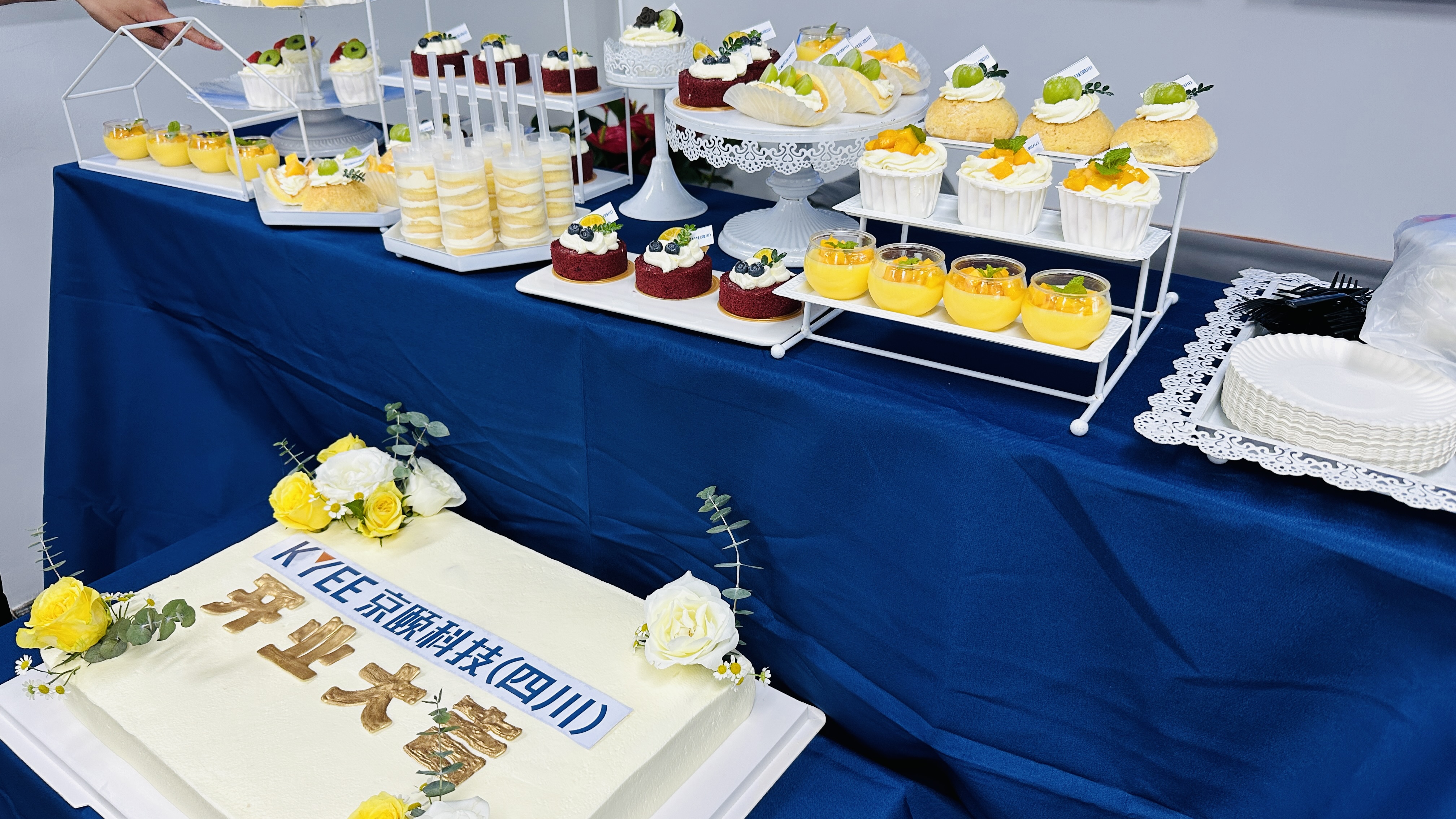 成都京颐科技,京颐科技有哪些产品