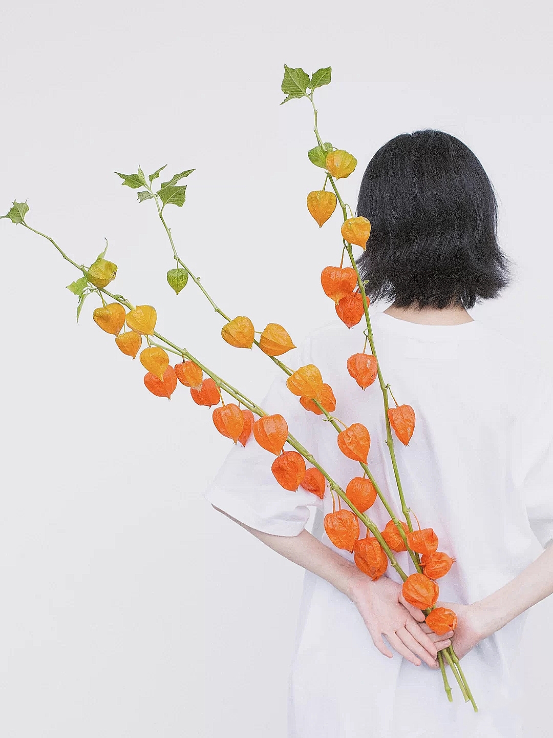 花艺教程花材打理知识,花艺教程常用花材及叶材有哪些