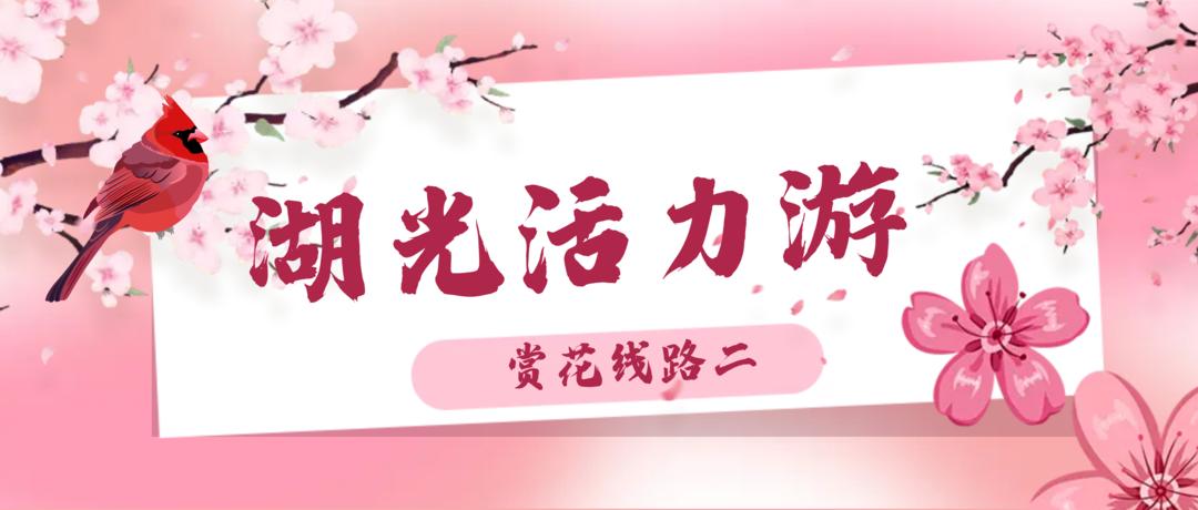 花海遇知音的下一句,花海遇知音汉阳喊你来赏花