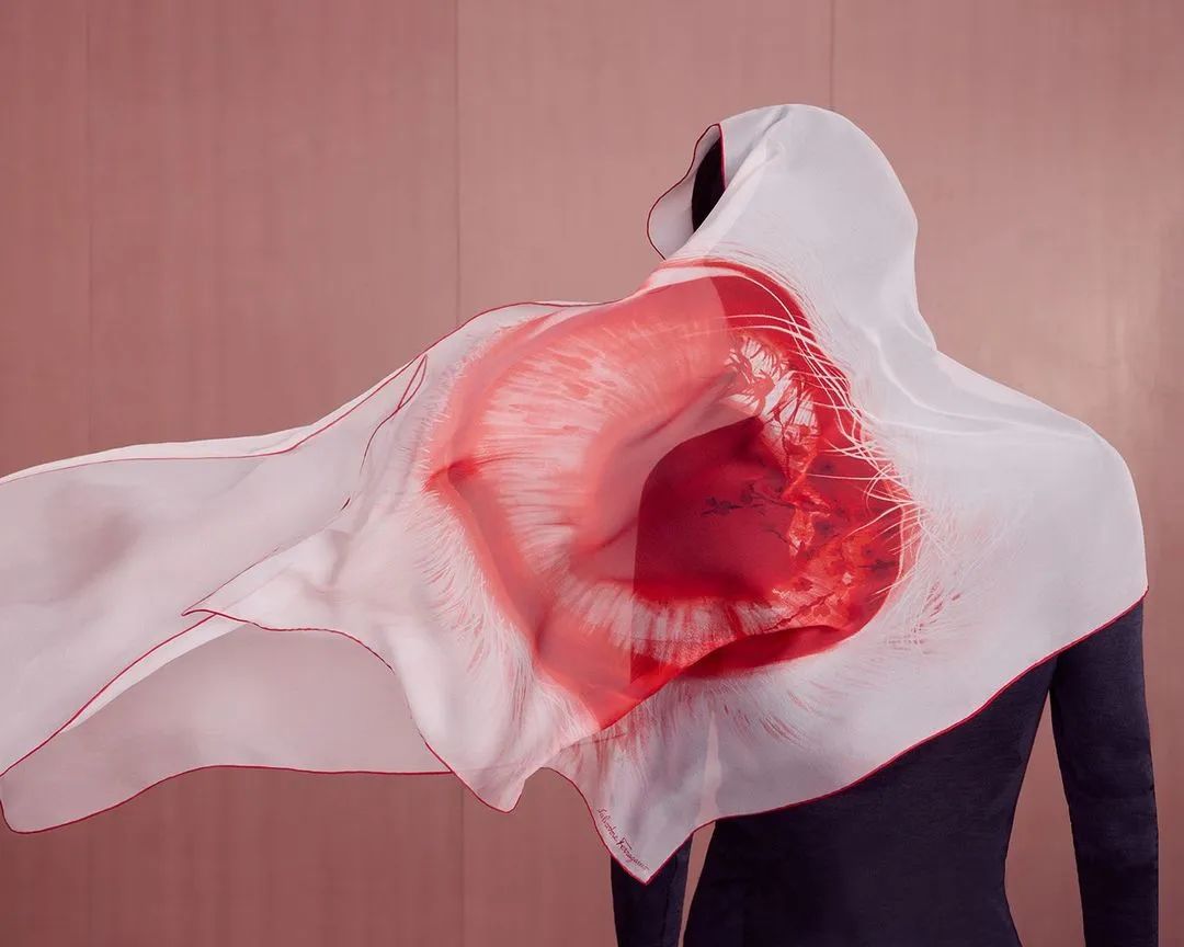 兔年人买什么风水摆件,兔年开运就要发财