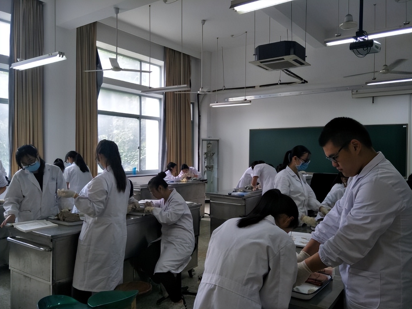 人体遗体捐献做标本有没有补偿,标本制作师工作