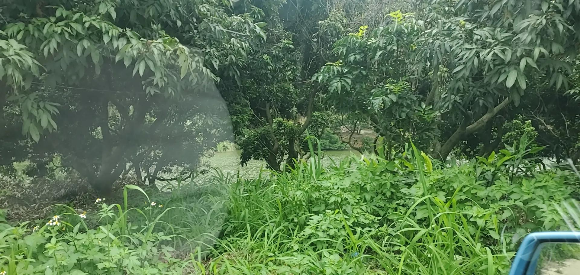 深圳踩坑亲子游之“女博士生态庄园”