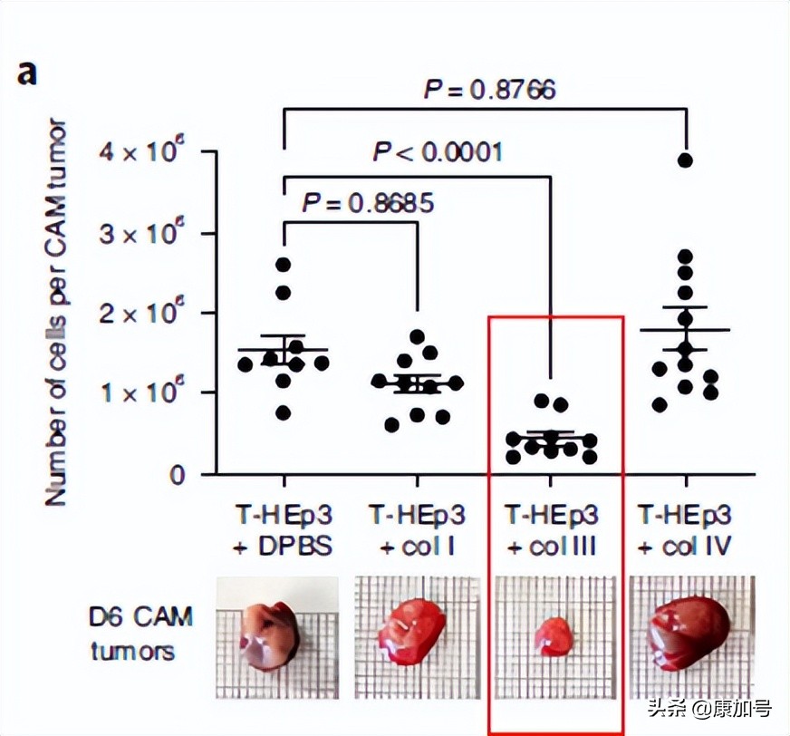 新的突破是什么,新的突破