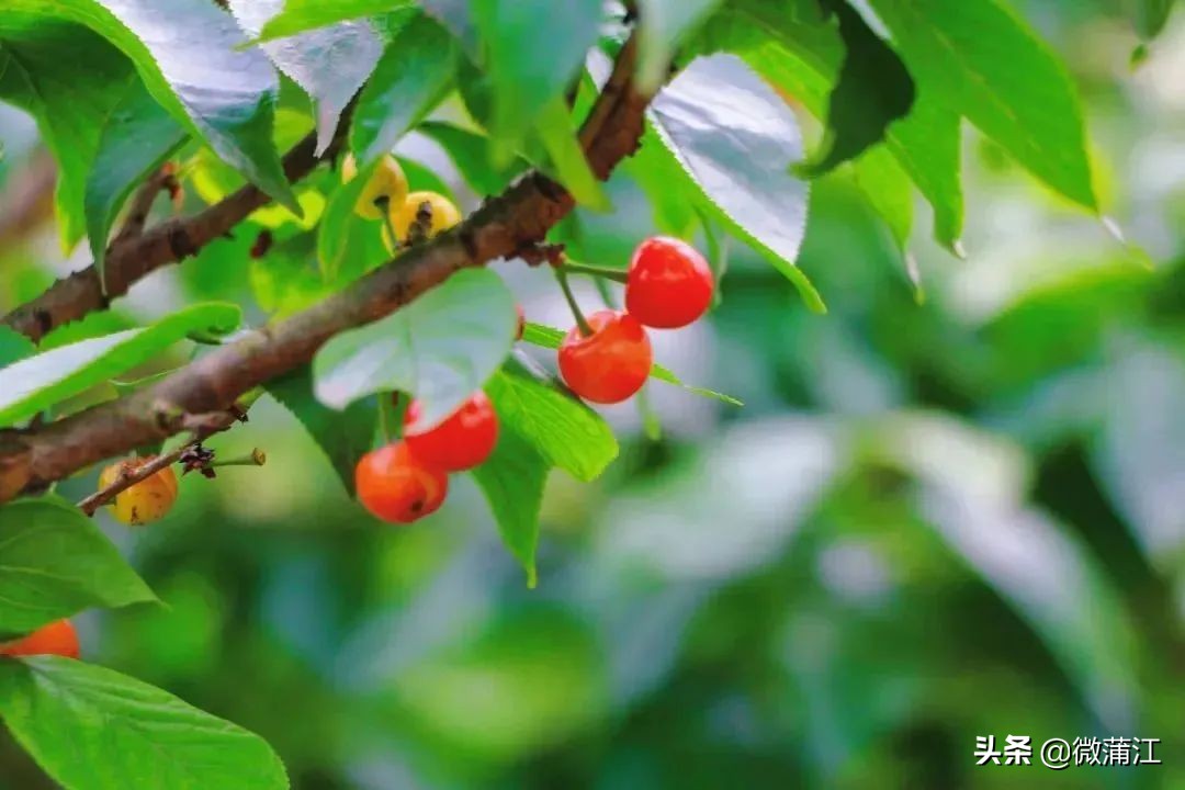 爱摄影的你,爱拍照的你记录生活每一天