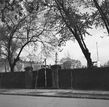 哈尔滨几个大型体育场,哈尔滨最大体育馆