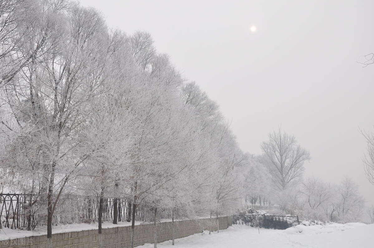 吉林省未来最好的城市,吉林最有前途的五个市