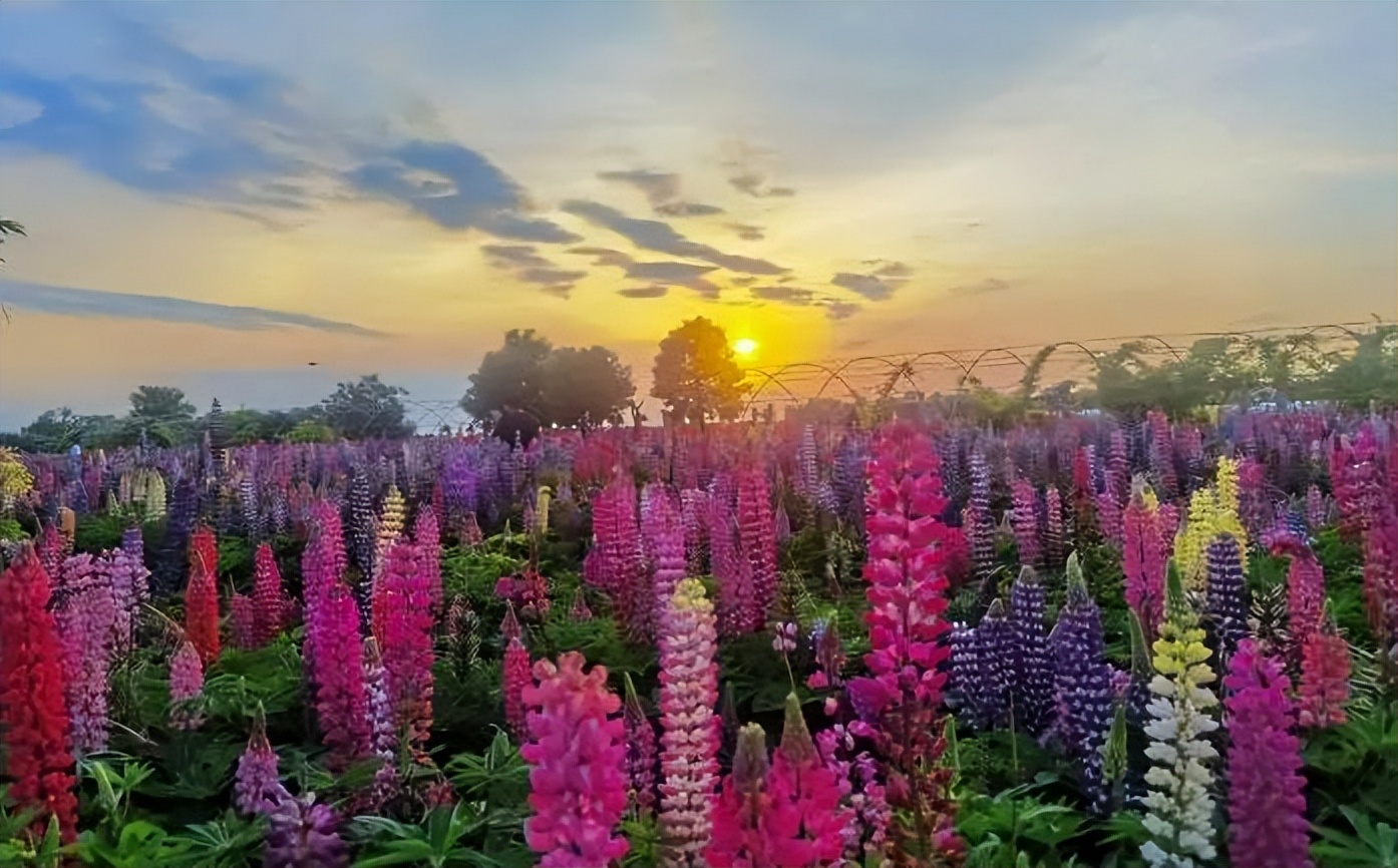 夏天游玩路线,夏天旅游最佳路线推荐