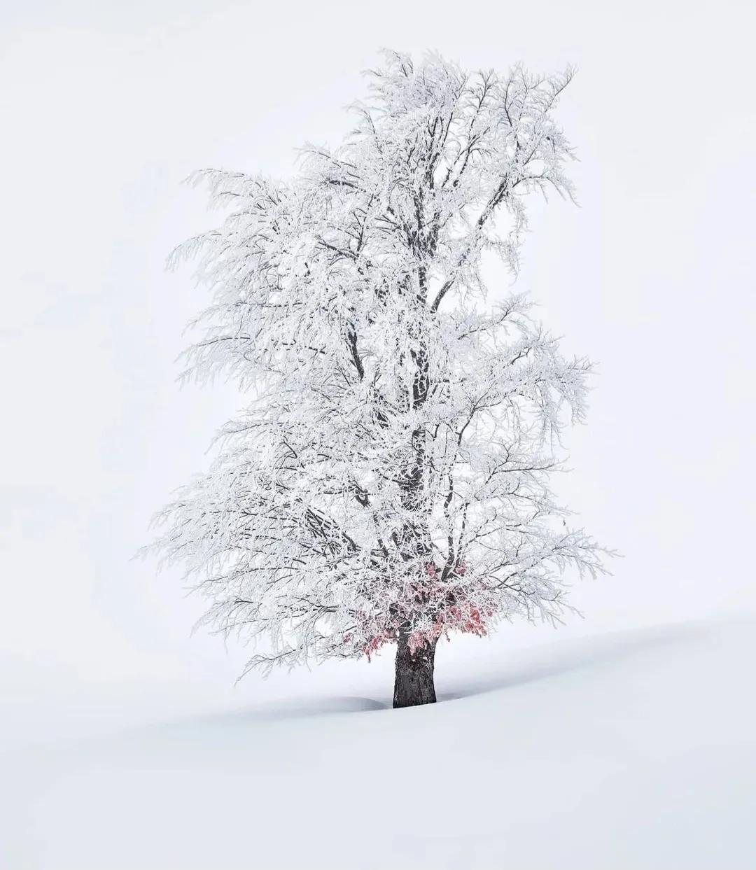 保险公司怎么查以前的医院病历,保险公司能查到门诊看病记录吗