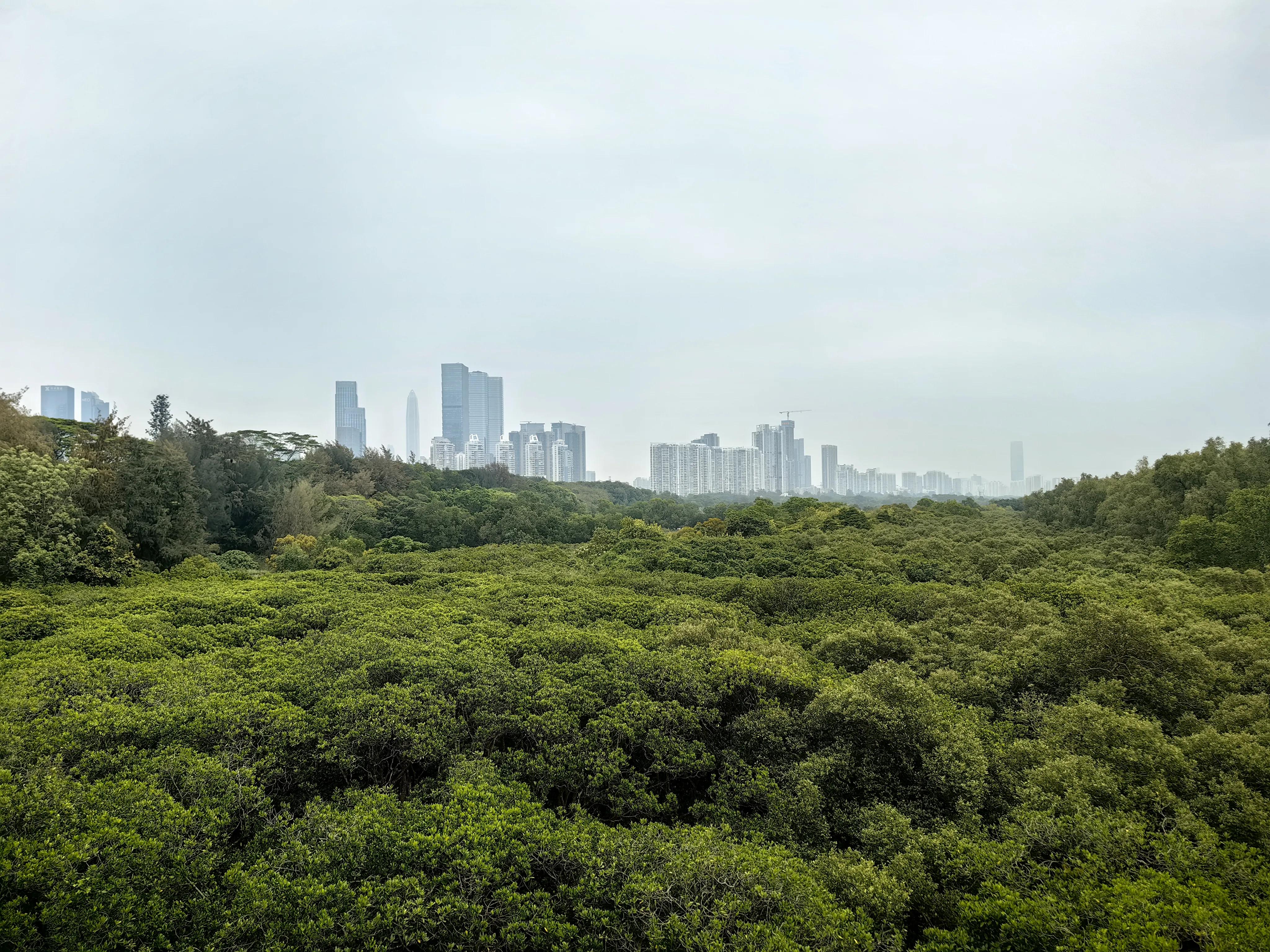 广东内伶仃岛福田国家级自然保护区,内伶仃岛福田自然保护区旅游