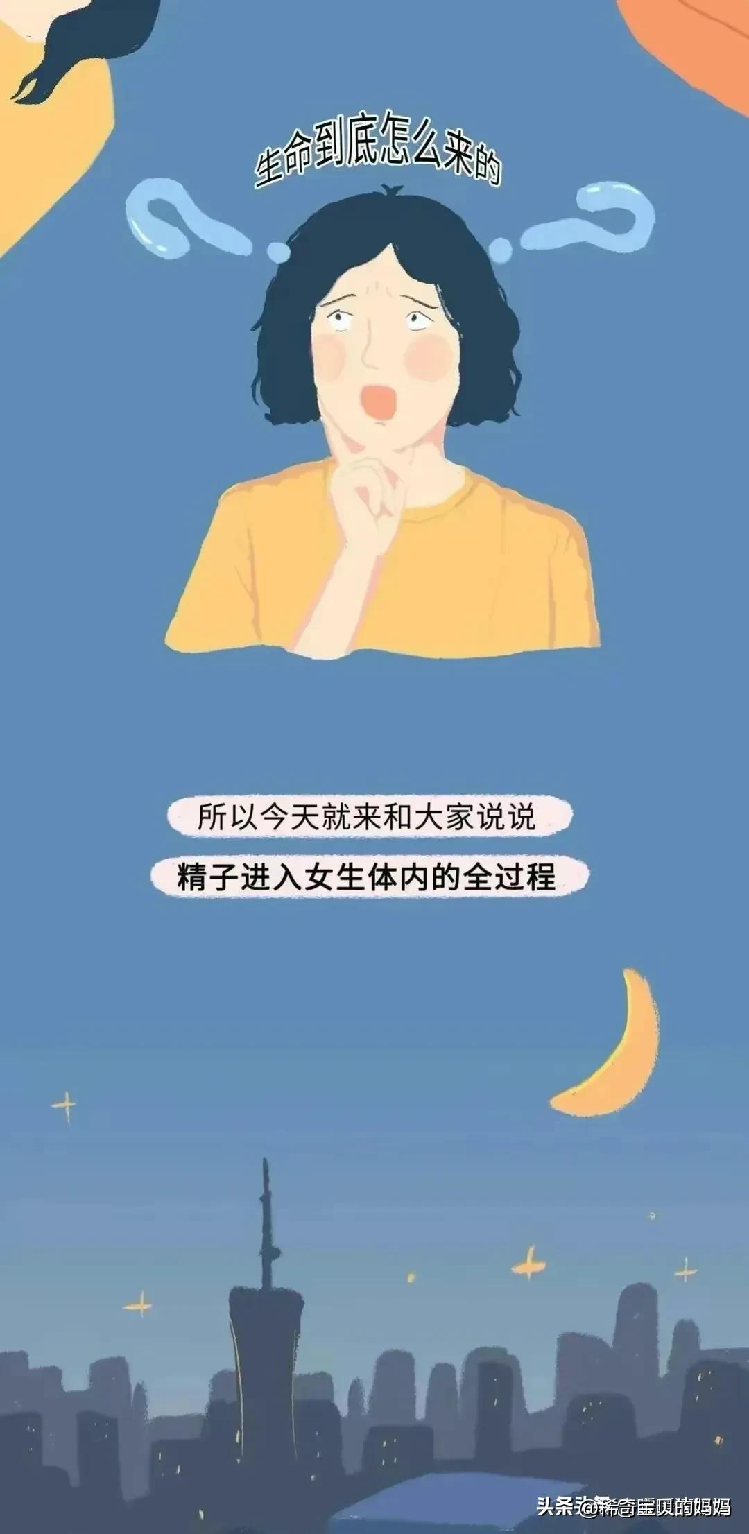 小蝌蚪动画过程讲解,小蝌蚪到青蛙生长过程动漫
