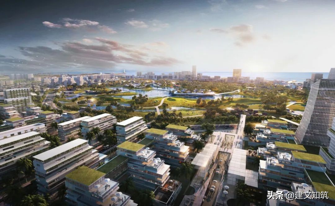 waf2023世锦赛,waf国内排名