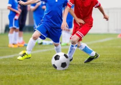 爱拼才会赢作文800字,爱拼才会赢作文