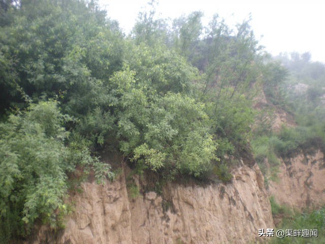 横水卸甲坪旅游路线,横水卸甲坪风景