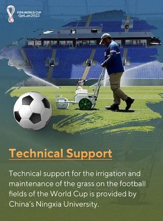 2022世界杯大学,中国高校电竞赛事热度