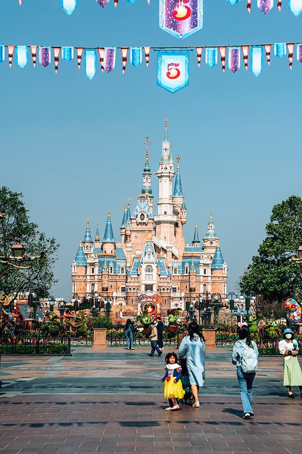 彩叶豆梨10-12公分最新报价,浙江彩叶豆梨多少钱一棵