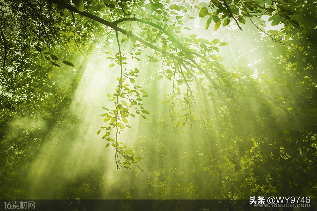 认识营养缺乏,了解维生素a缺乏症