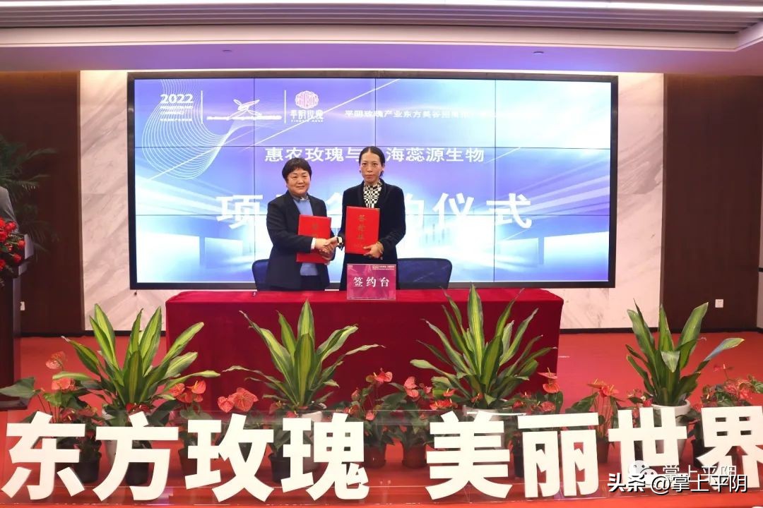 黄浦江畔，美丽有约！“东方玫瑰美丽世界”2022平阴玫瑰产业东方美谷招商推介暨战略合作签约活动隆重举行