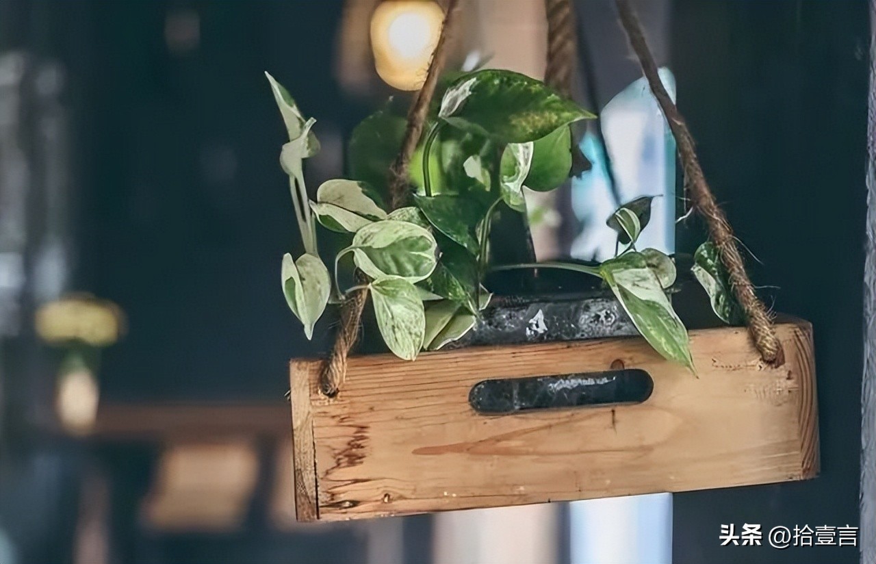 心累的时候给自己一段安慰的话,心累的时候就这样安慰自己很治愈