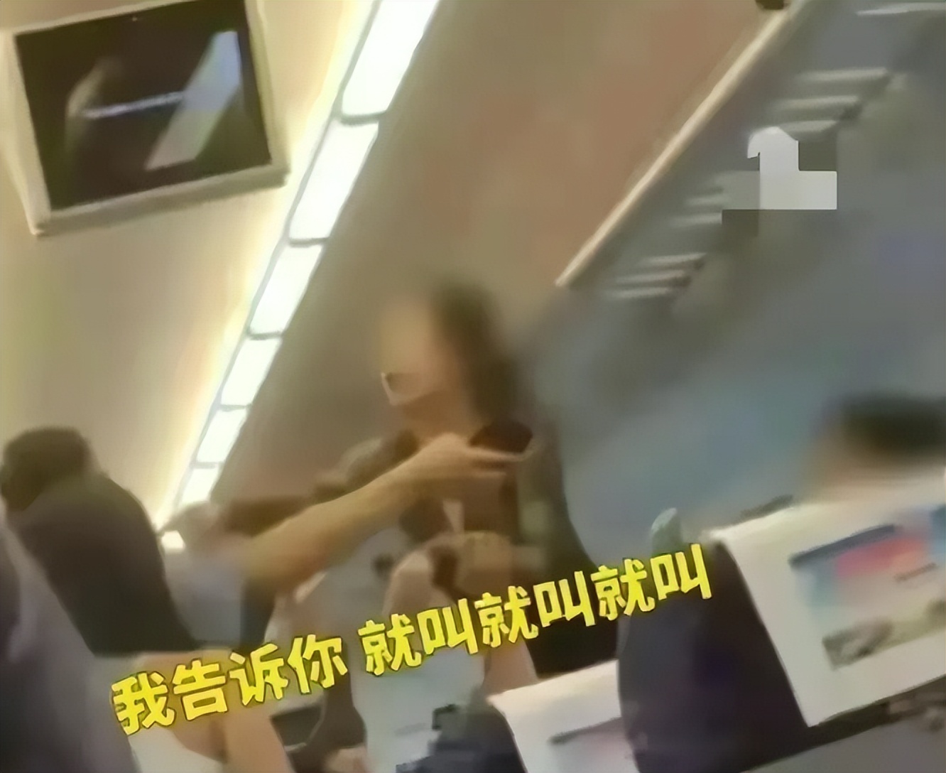 高铁母女俩打人后续报道,高铁打人母女视频