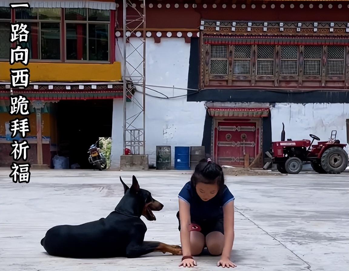 乐嘉人生导师现状,乐嘉跌落神坛