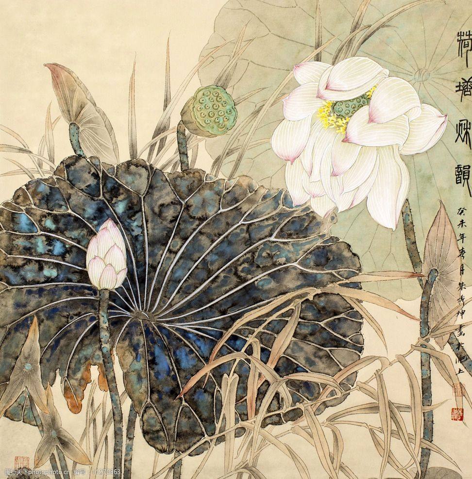 佛教选莲花而不是荷花,荷花与莲花在佛家有何意义