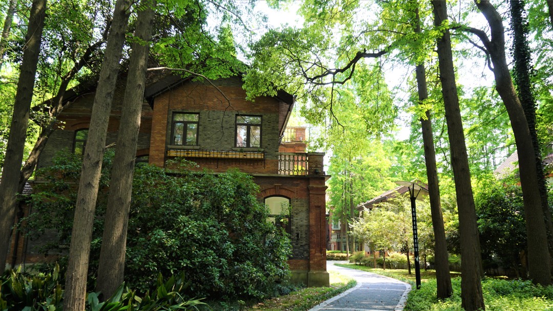 深度解析上海理工大学,上海理工大学小吗