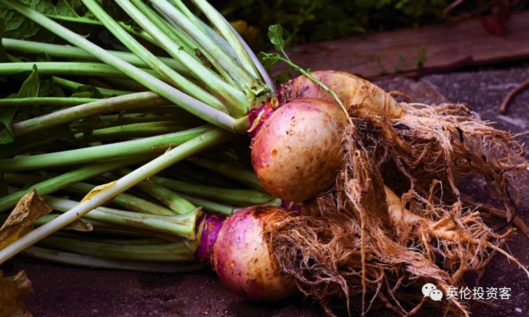 通胀率持续上行英国短期或再加息,英国通胀缓和后央行或降息至7%