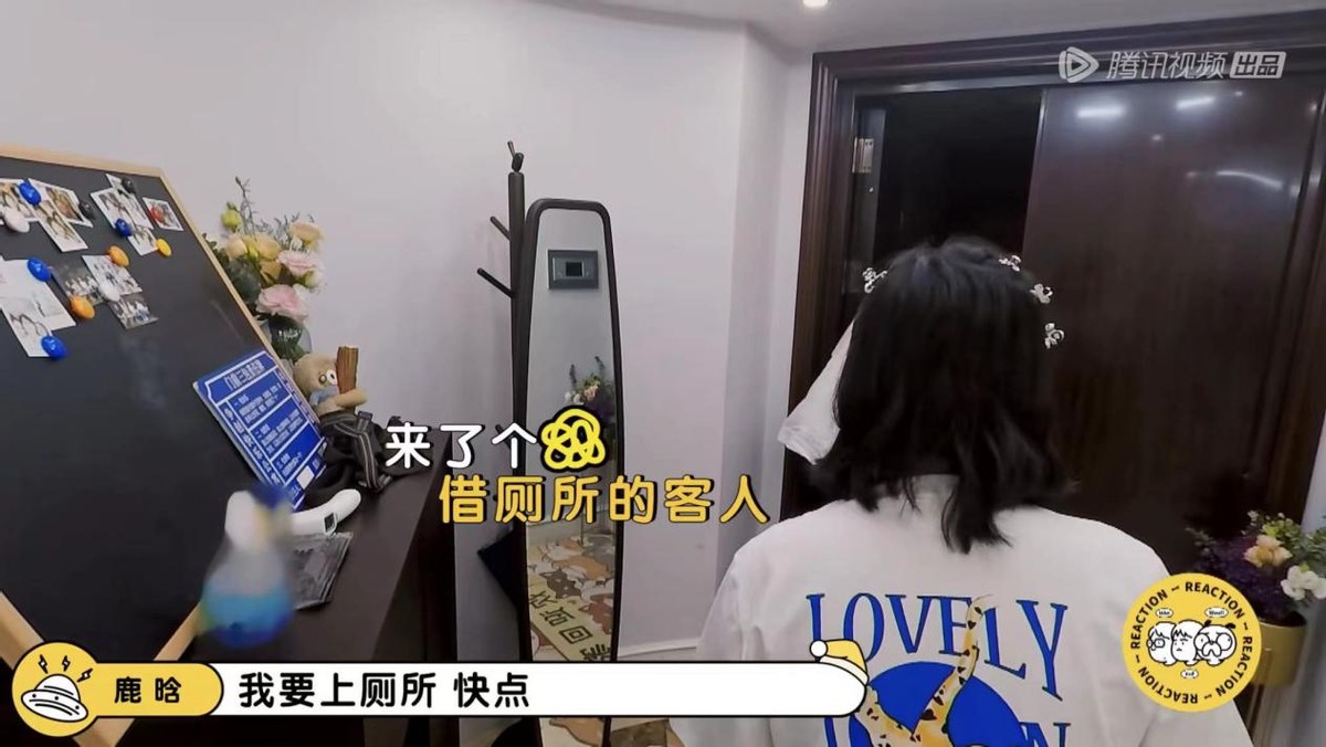 鹿晗毛雪汪是哪一期,毛雪汪夏番拟邀嘉宾