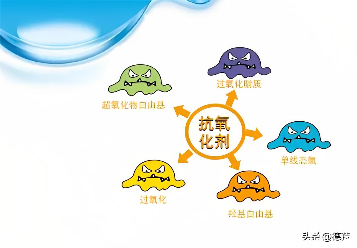 食品添加剂对人体有害吗,食品添加剂的种类及用途大全