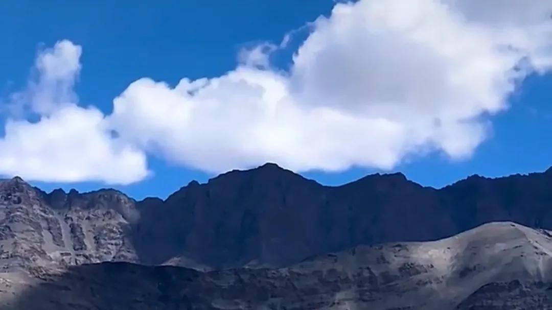 越战之超级巨蟒传说