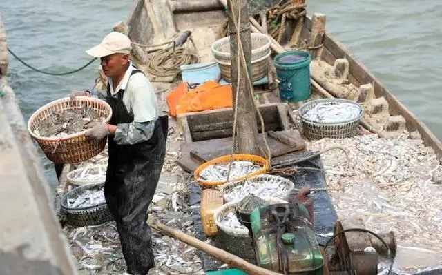 海边的你知道什么是流网.张网吗？聊聊宁波的流网作业和张网作业