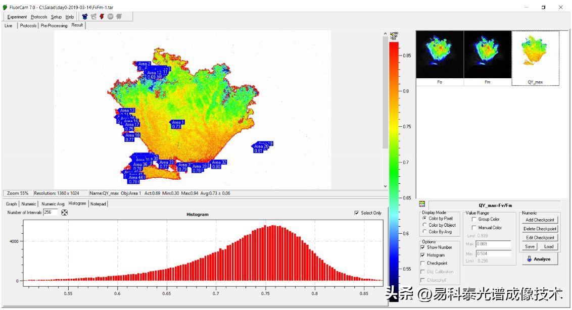 叶绿素荧光参数测定数据表,叶绿素荧光成像系统数据分析