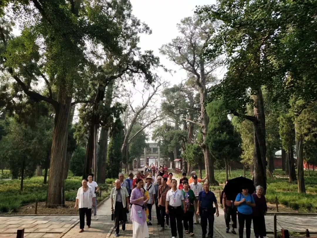 接力淄博！邹城喊话全国网友：这个五一，来这里！