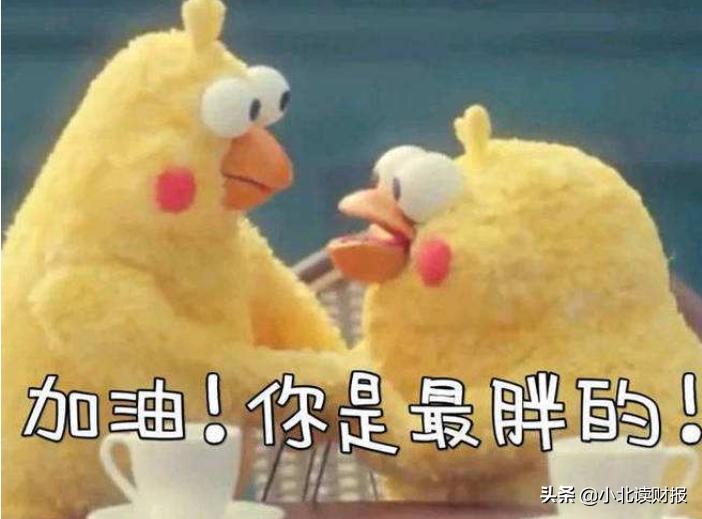 汤臣倍健一季度净利率,汤臣倍健公司利润总额