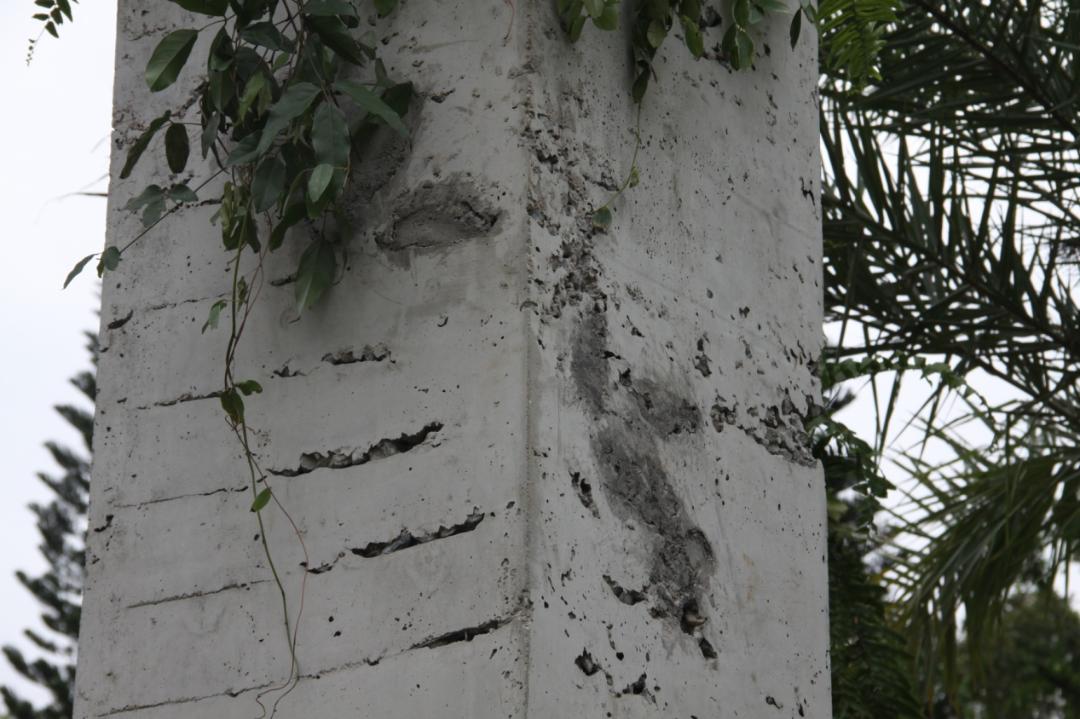 切尔西花展最佳花园,切尔西花展金奖设计