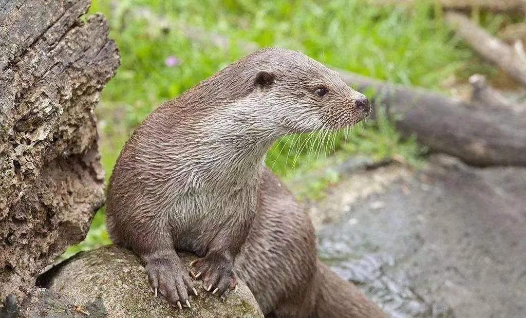 西安湿地风景区,西安东郊最美湿地公园