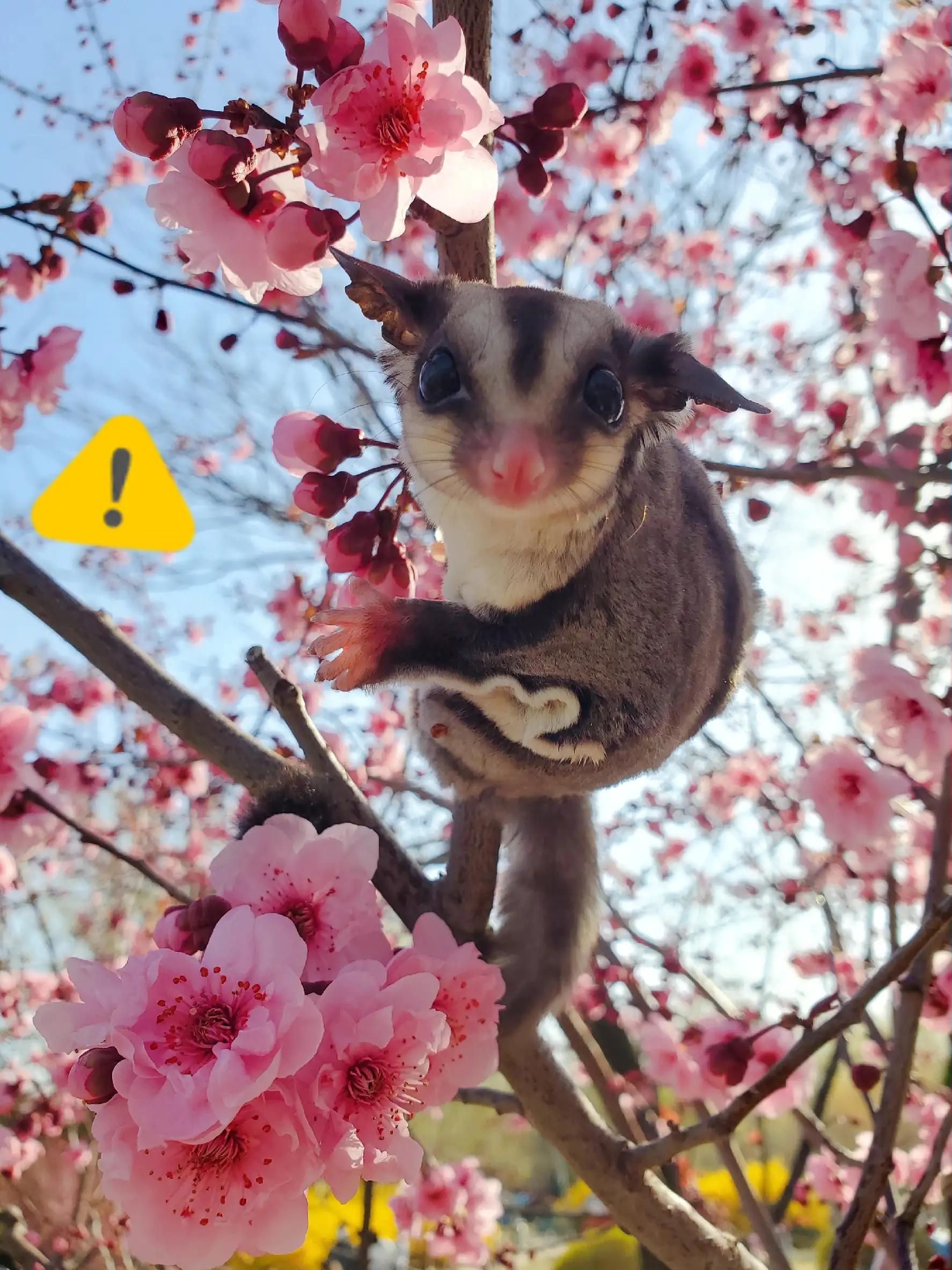 笔记本键盘坏了为什么电源键能用,笔记本键盘出故障怎么解决