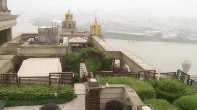 张庭卖惨视频,张庭需要赔钱吗