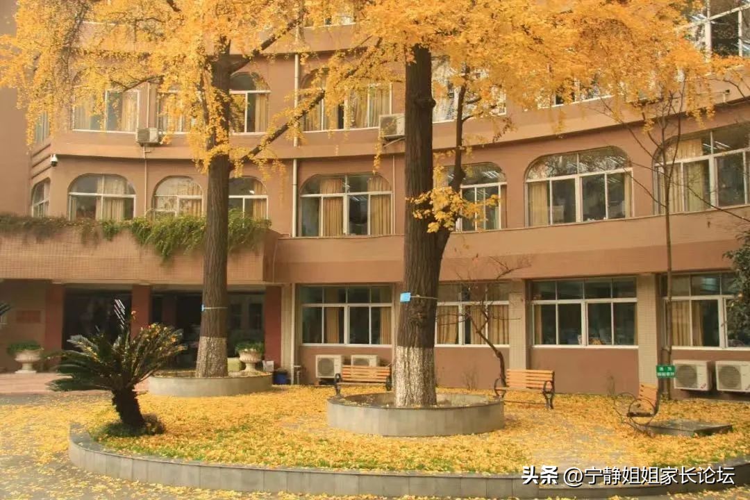 成都最出名的三所中学,成都的老牌中学