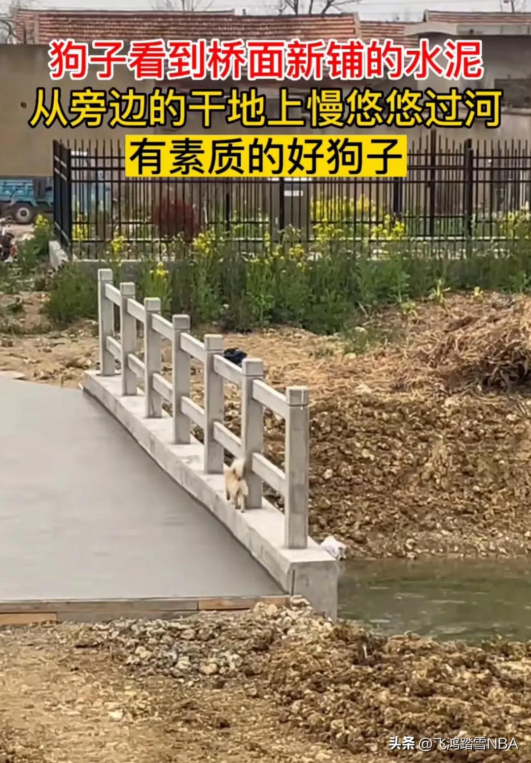 调休怎么看待,调休的科学性