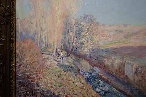 解封后苏州的堂食,苏州解封后的活动