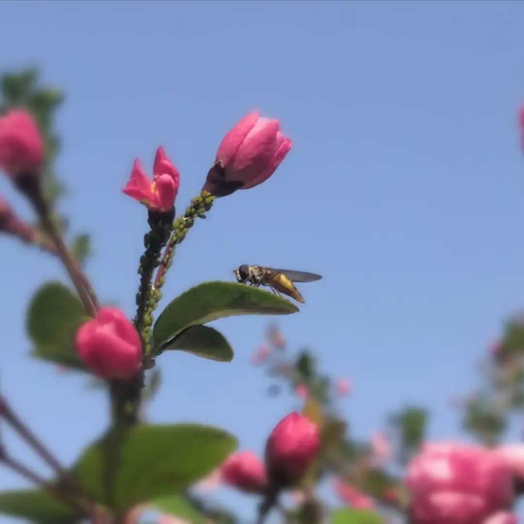 错过了一个秋天,错过了一个春秋