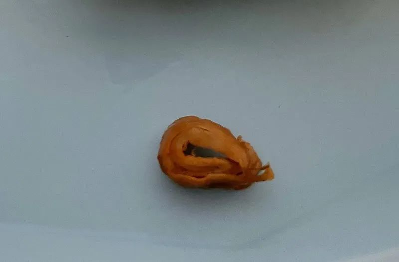 肯德基肥肠嫩牛五方,肯德基毛血旺嫩牛五方有没有大肠