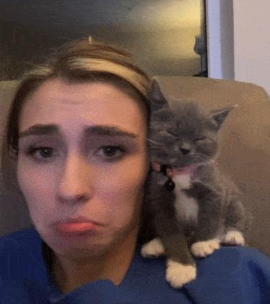 猫核酸检测有必要做吗,猫做核酸粤语视频