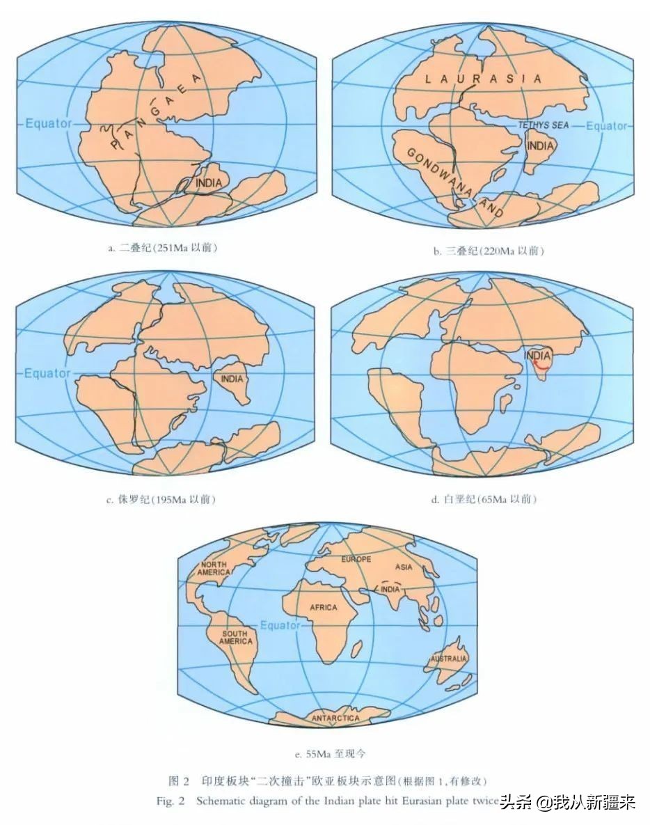 新疆哈密翼龙,天山哈密翼龙