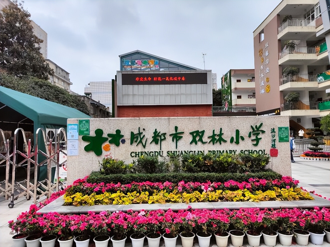 成都双林小学老师,双林小学历任校长